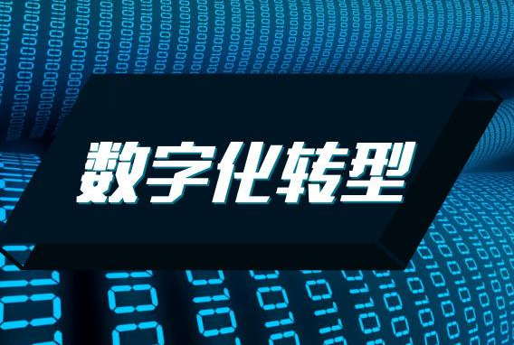 企业信息化建设方案