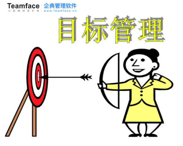 如何有效地实施企业战略目标，并执行监督？
